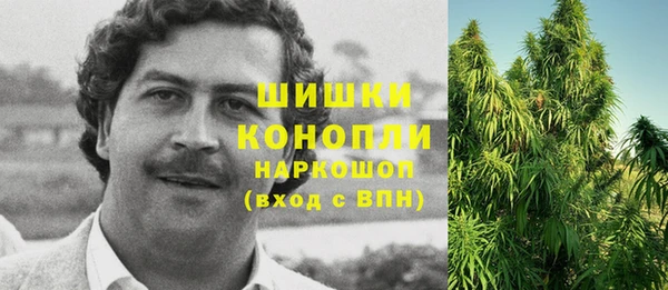 винт Алексин