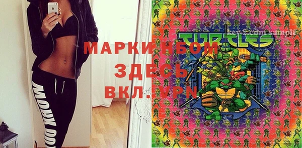 крисы Алзамай