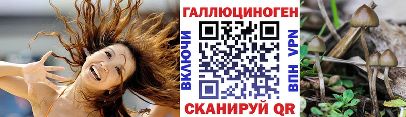 Псилоцибиновые грибы MAGIC MUSHROOMS  OMG ссылка  Хвалынск  продажа наркотиков 